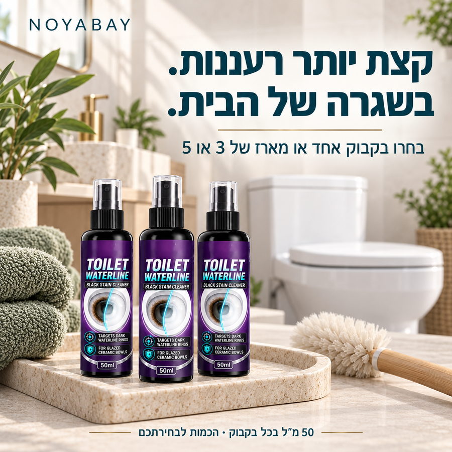 מארז ניקוי כחלק משגרת הטיפוח של הבית